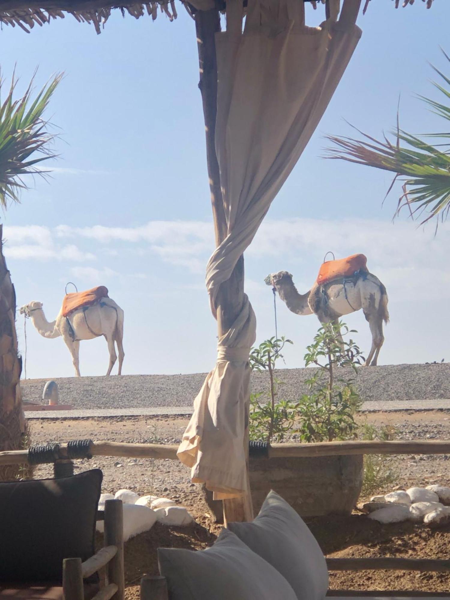 Riad Abbassia Marrakech Premiere Marrakesh Exteriör bild